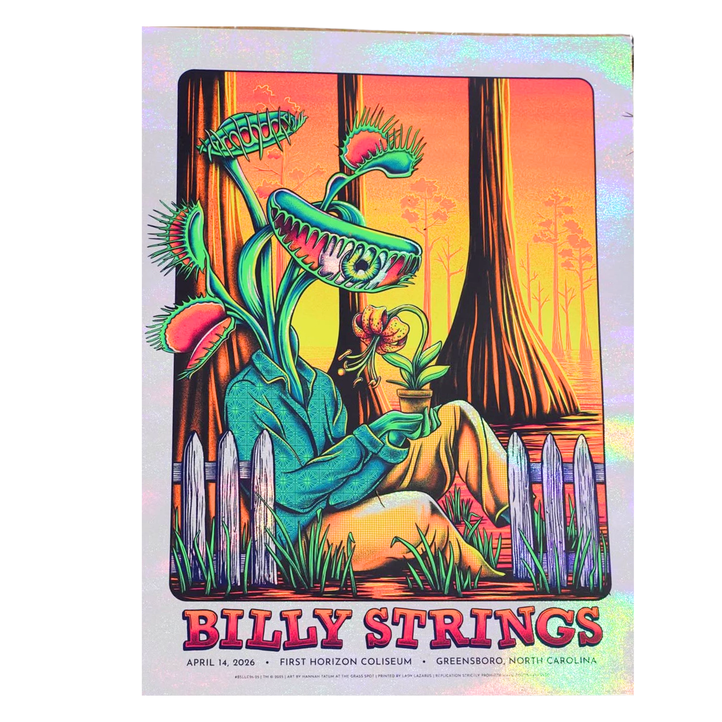 Billy Strings - Greensboro