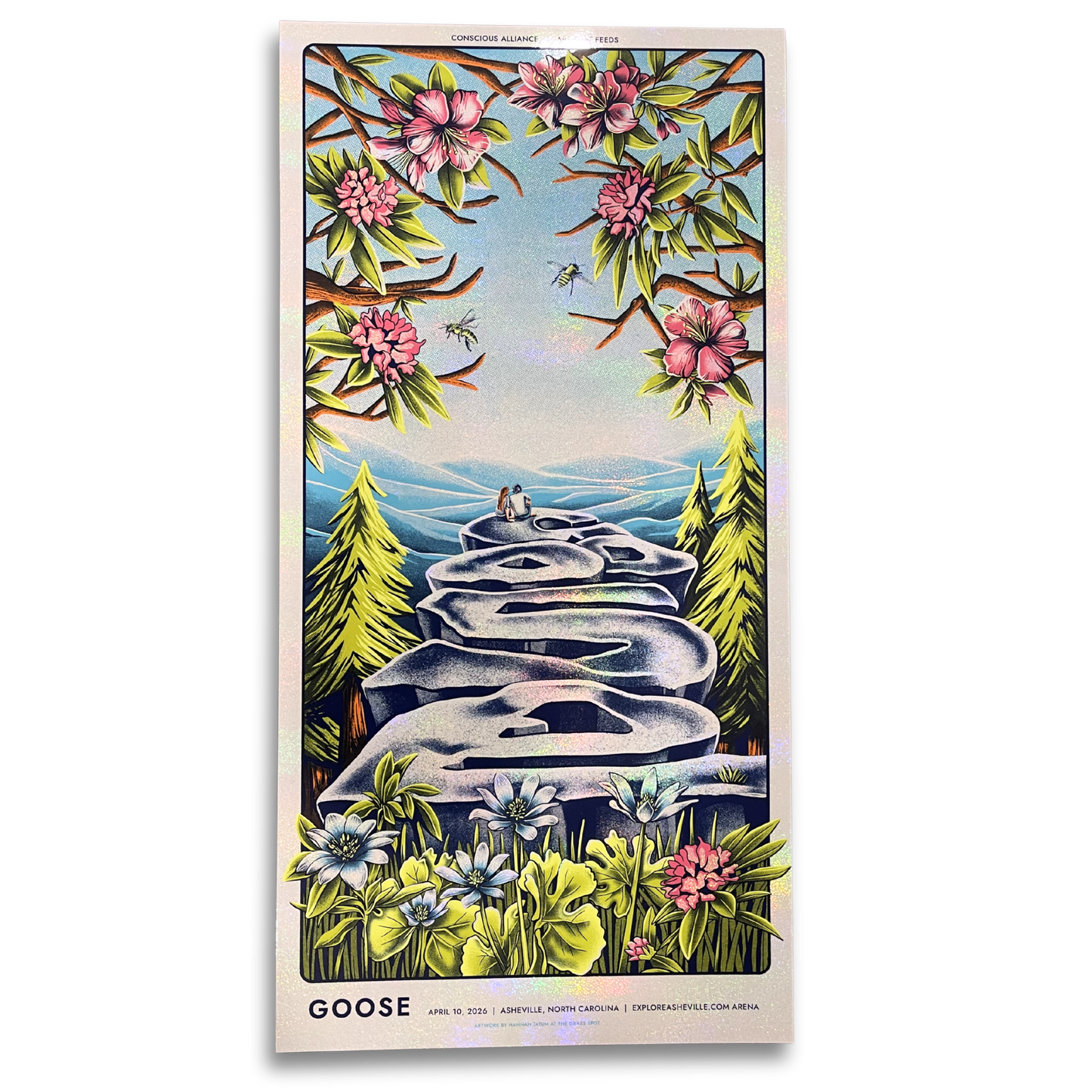 Goose - Asheville