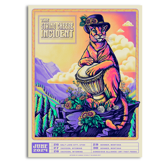 String Cheese Incident - Summer Run